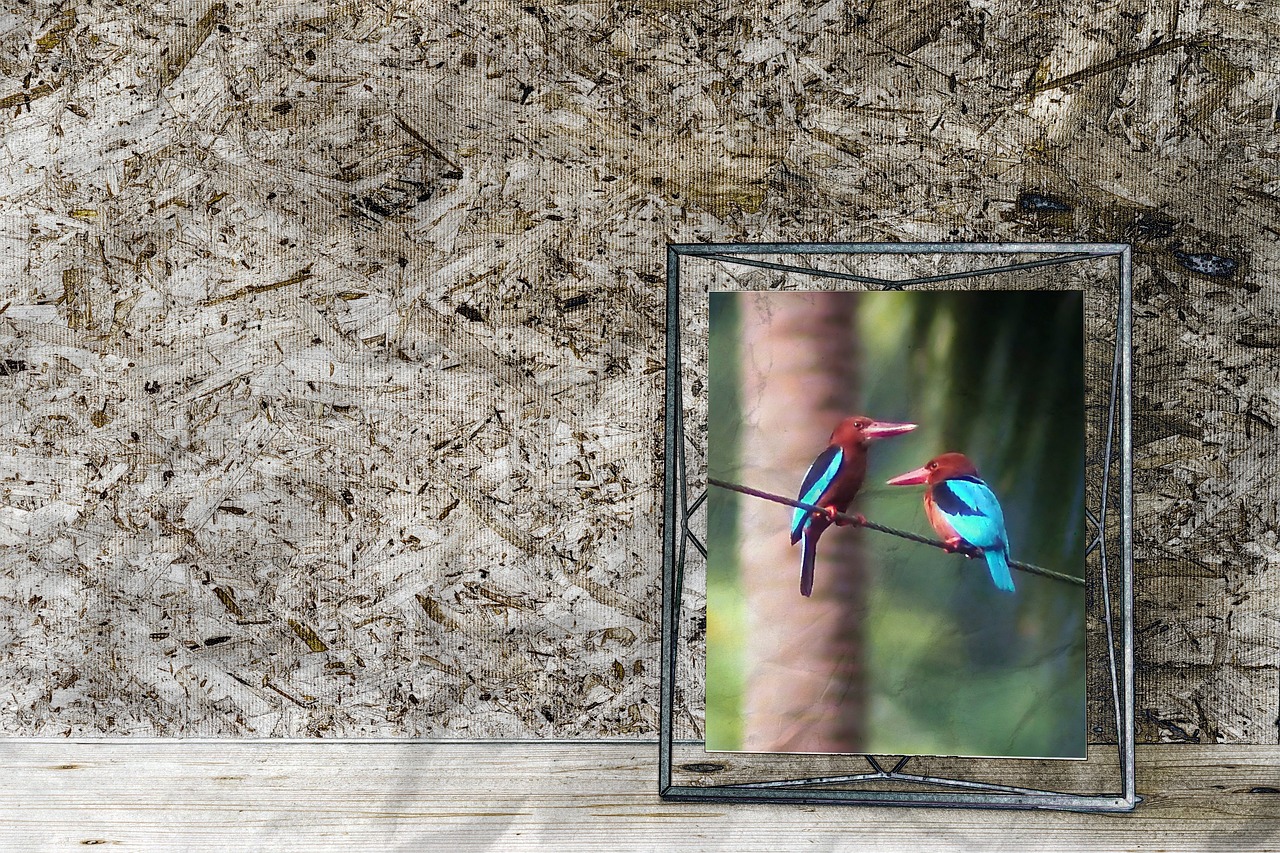 mesh and frame, wall, indoor, decor, frame, picture, wild, bird, brown, breasted, kingfisher, king, fisher, endemic, species, digital, photo, manipulation, artwork, nature, photo frame, wired, brown digital, brown frame, brown king