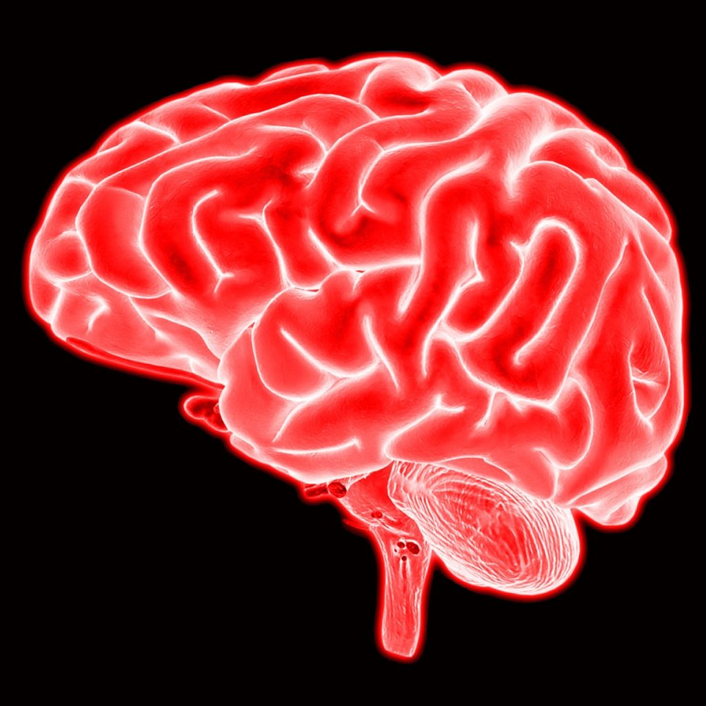 brain, mind, neuroscience, cerebrum, cerebral, brain, brain, brain, brain, brain, neuroscience, neuroscience, neuroscience