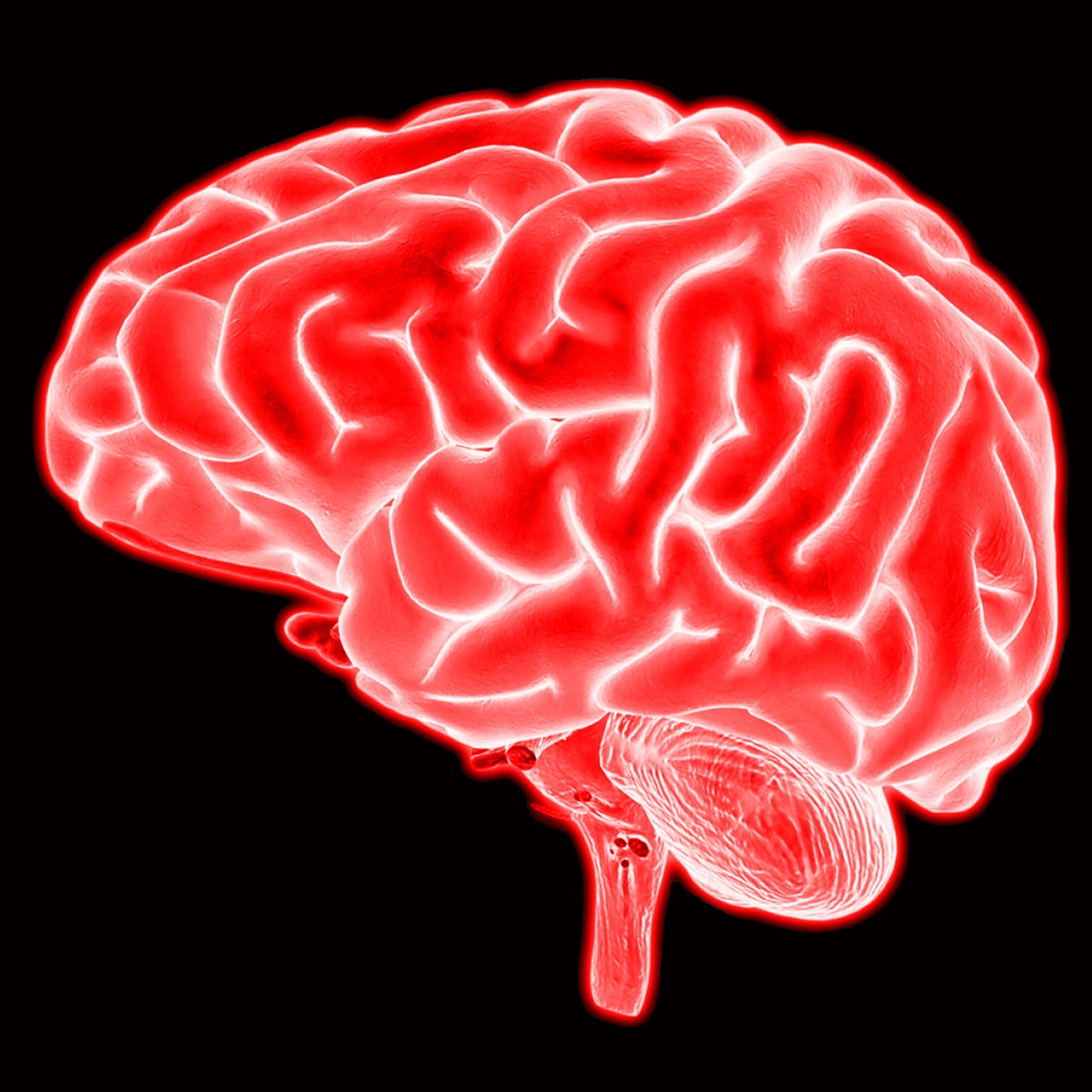 brain, mind, neuroscience, cerebrum, cerebral, brain, brain, brain, brain, brain, neuroscience, neuroscience, neuroscience